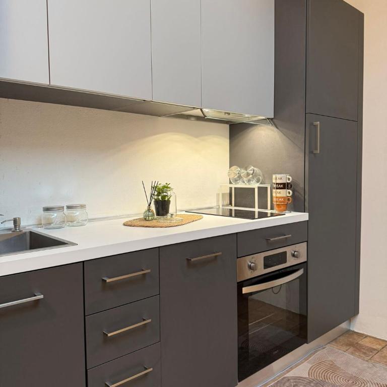 Appartamento moderno centro parma con ascensore - Appartamento con 1 Camera da Letto - 3