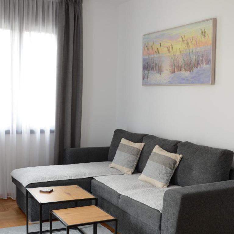 SiM Apartman Vrnjačka Banja - Apartman sa 1 Spavaćom Sobom - 3