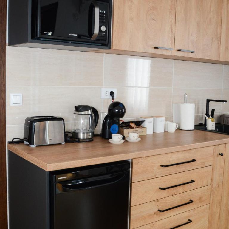 SiM Apartman Vrnjačka Banja - Apartman sa 1 Spavaćom Sobom - 6