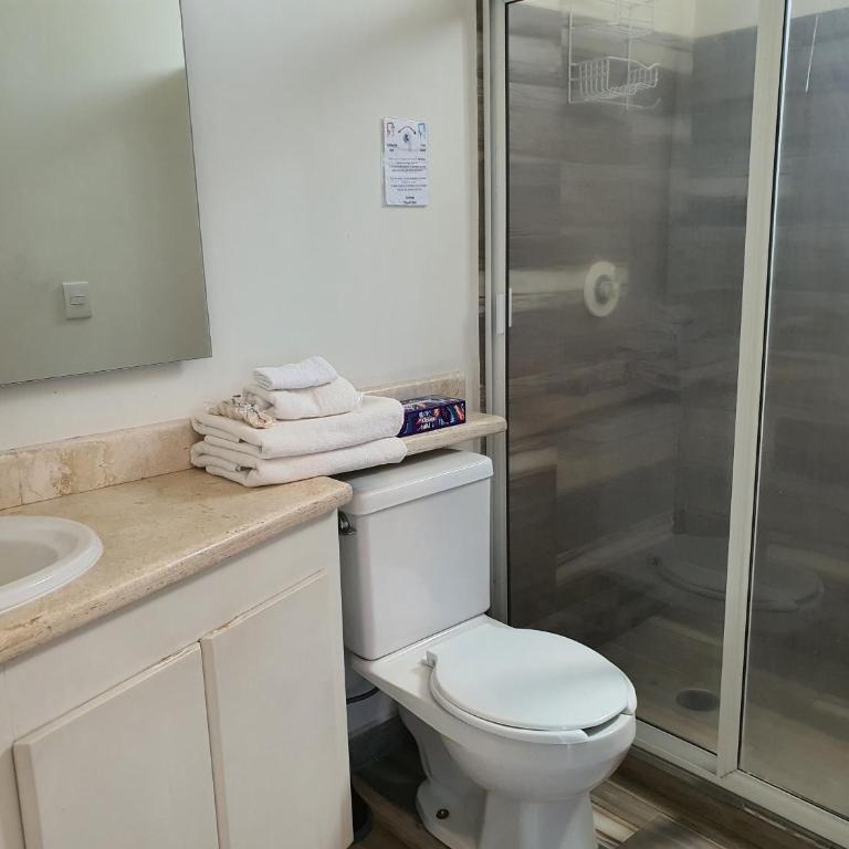 Lujoso Penthouse en la Roma - Two-Bedroom Apartment - 8