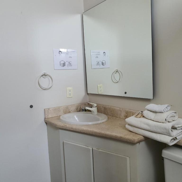 Lujoso Penthouse en la Roma - Two-Bedroom Apartment - 9