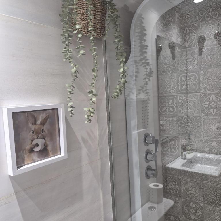 Suite con encanto junto a la Catedral - Apartamento de 1 dormitorio - 17