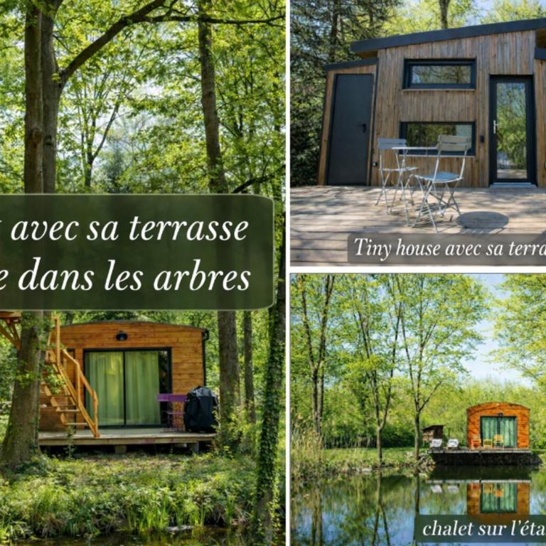 Les Chalets Horizon - Chalet - 1