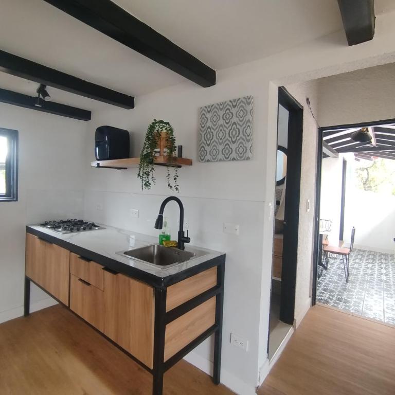 Terra loft - Apartamento de 2 dormitorios - 12