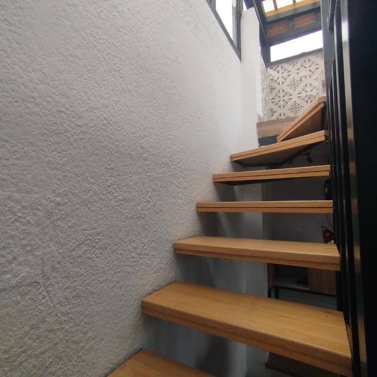 Terra loft - Apartamento de 2 dormitorios - 19