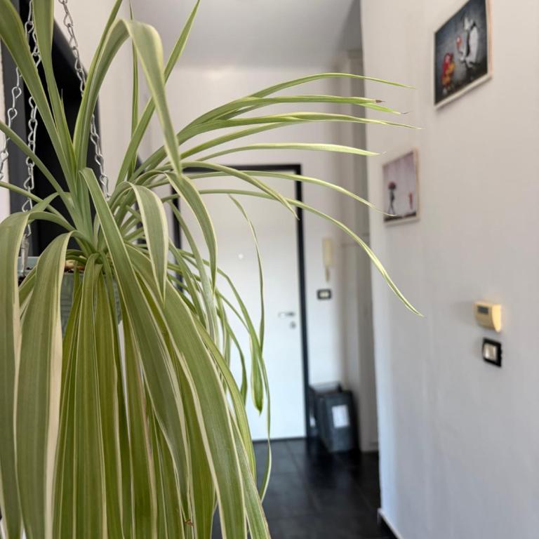 Casa Tricy B&B - Double Room - 32