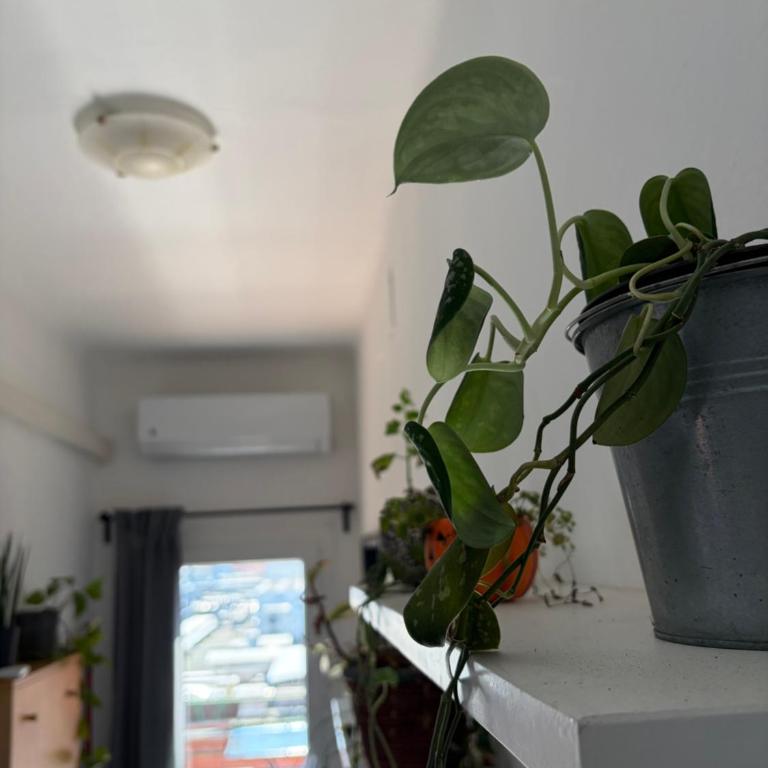 Casa Tricy B&B - Double Room - 33