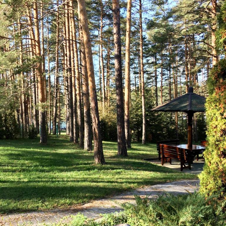 KRALJEVI KONACI - Vila Zelena Dolina - Zlatibor - Villa with Garden View - 54