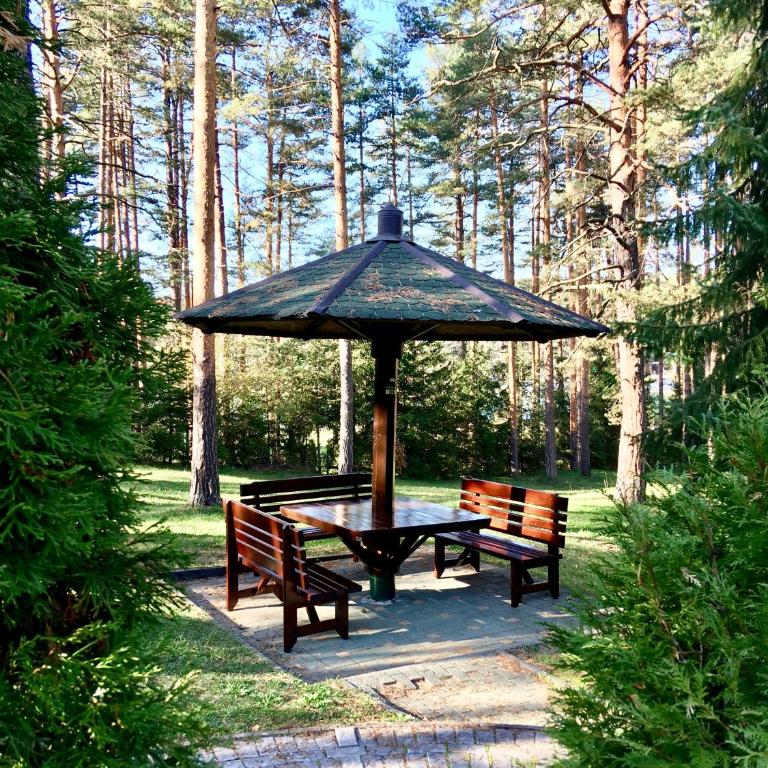 KRALJEVI KONACI - Vila Zelena Dolina - Zlatibor - Villa with Garden View - 6