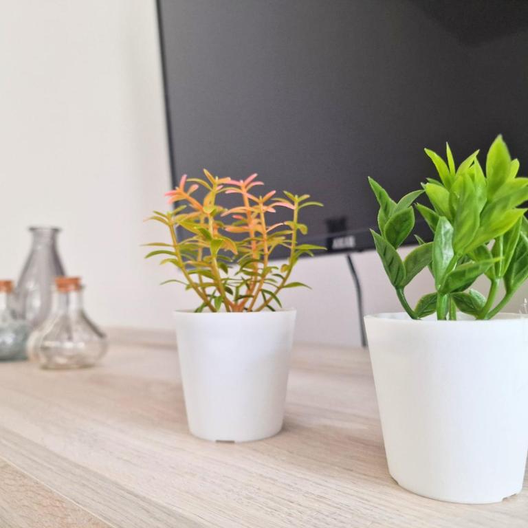 Yakamoz - Central Apartment Alghero - One-Bedroom Apartment - 15