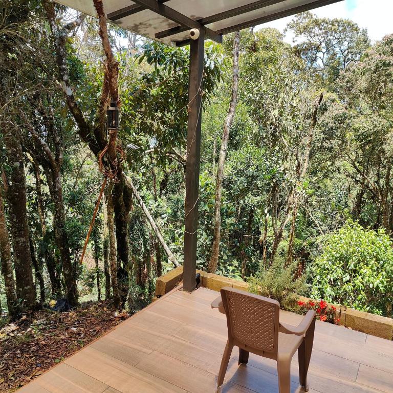 Boutique in the Forest Natural Refuge - Villa de 1 dormitorio - 6