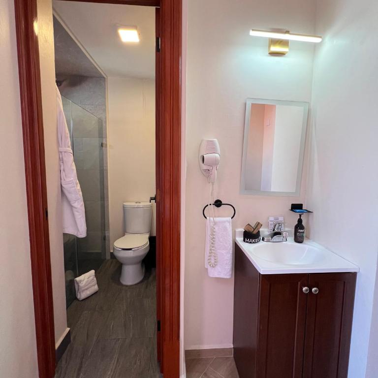 Suites del Jardín Principal - Junior Suite with Terrace - 9