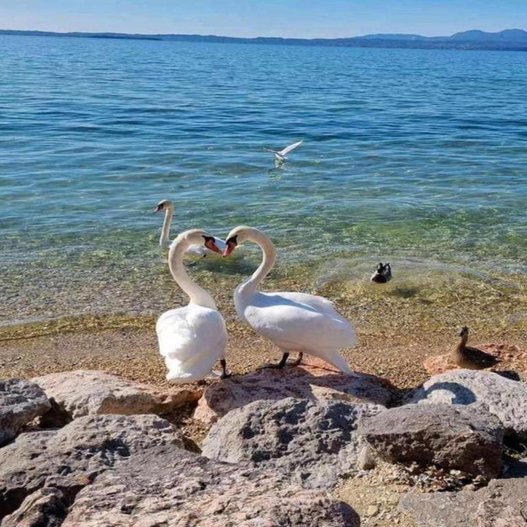 Lakeview Stay in Lazise - Casa Vacanze con 2 Camere da Letto - 40