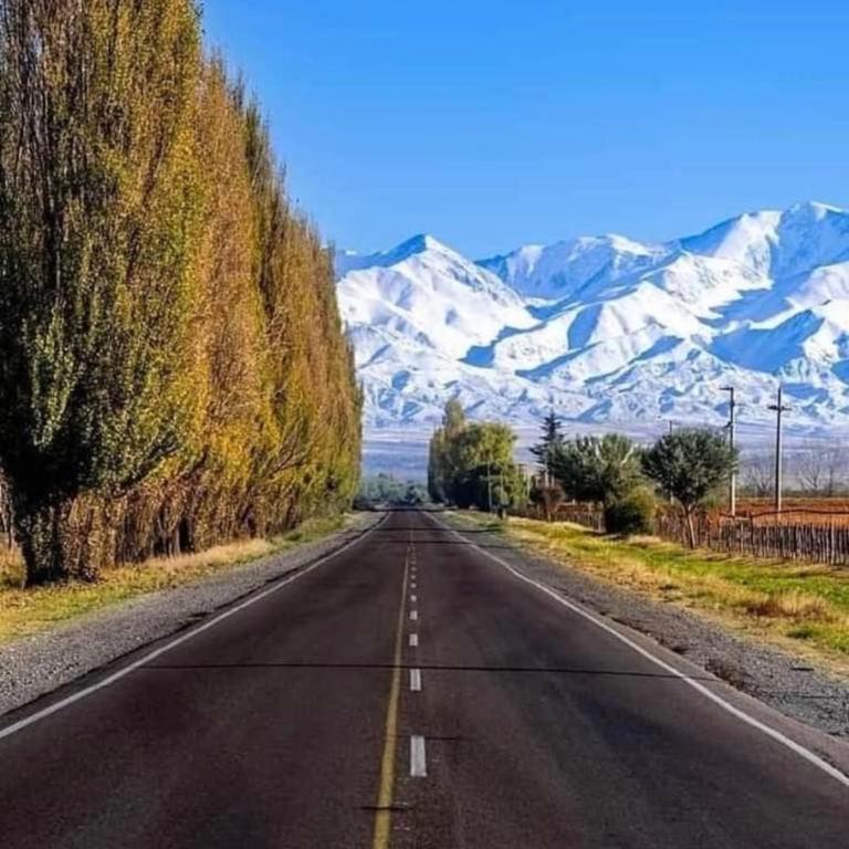 Mendoza Suites 9 -parking privado opcional- - Apartamento de 1 dormitorio - 38