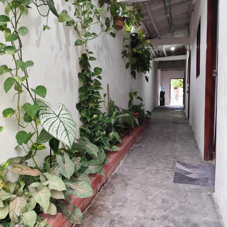 Casa Hotel Bijaos - Three-Bedroom Home - 4