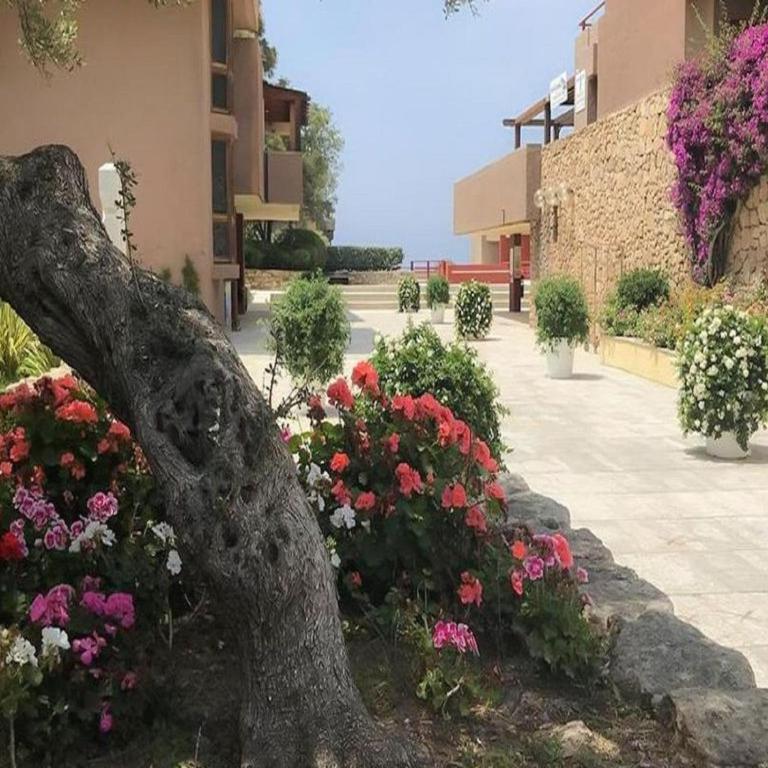 Family apartment in Olbia near sea - Appartamento - 14