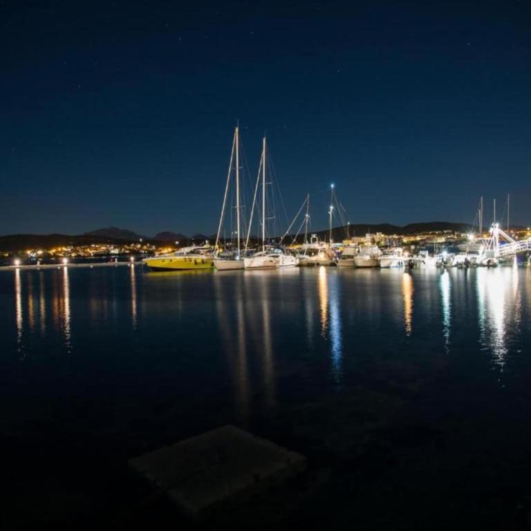 Family apartment in Olbia near sea - Appartamento - 16