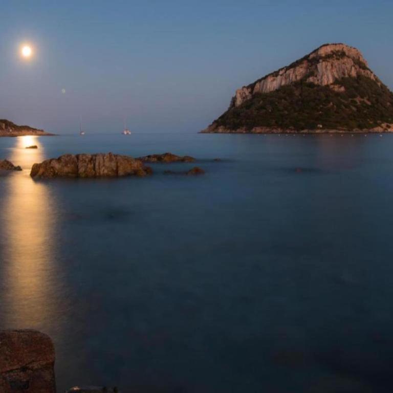Family apartment in Olbia near sea - Appartamento - 19
