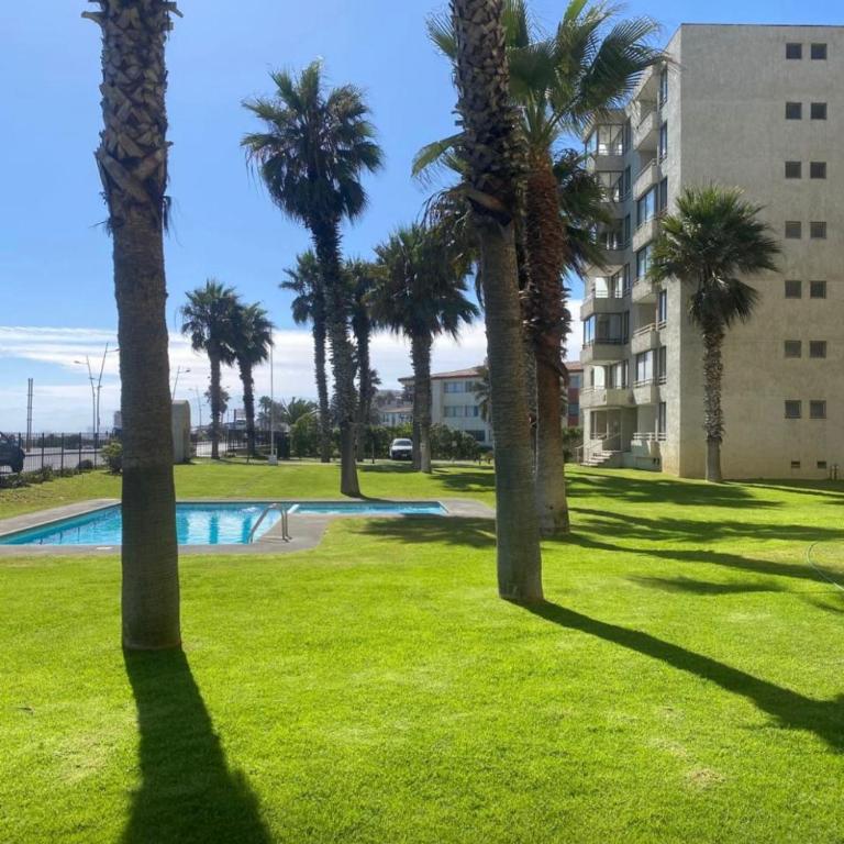 Departamento 51, Avenida del mar, LA SERENA - Apartamento de 2 dormitorios - 14