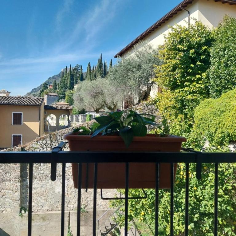 Il limone - One-Bedroom Apartment - 5