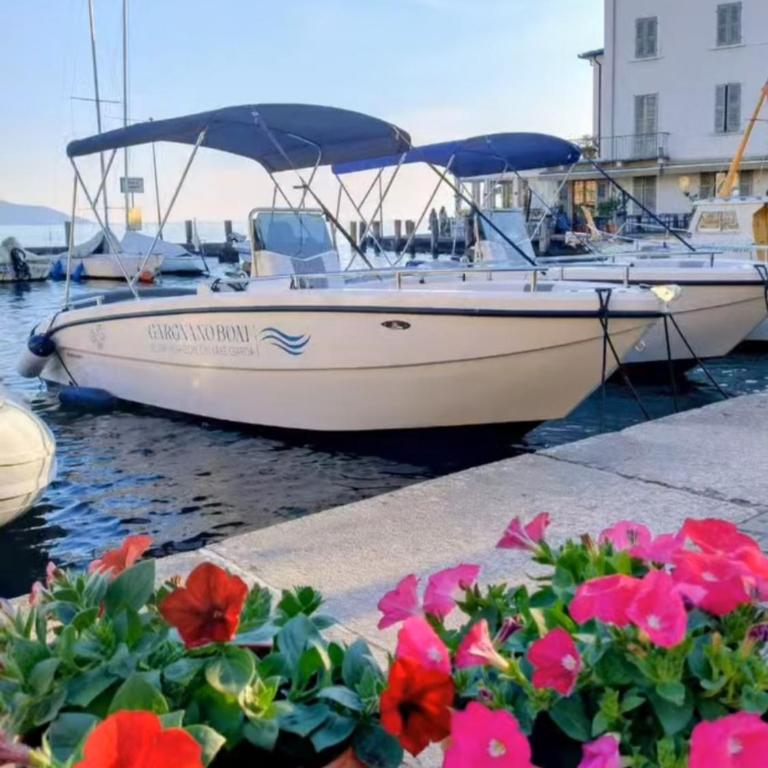 Il limone - One-Bedroom Apartment - 18
