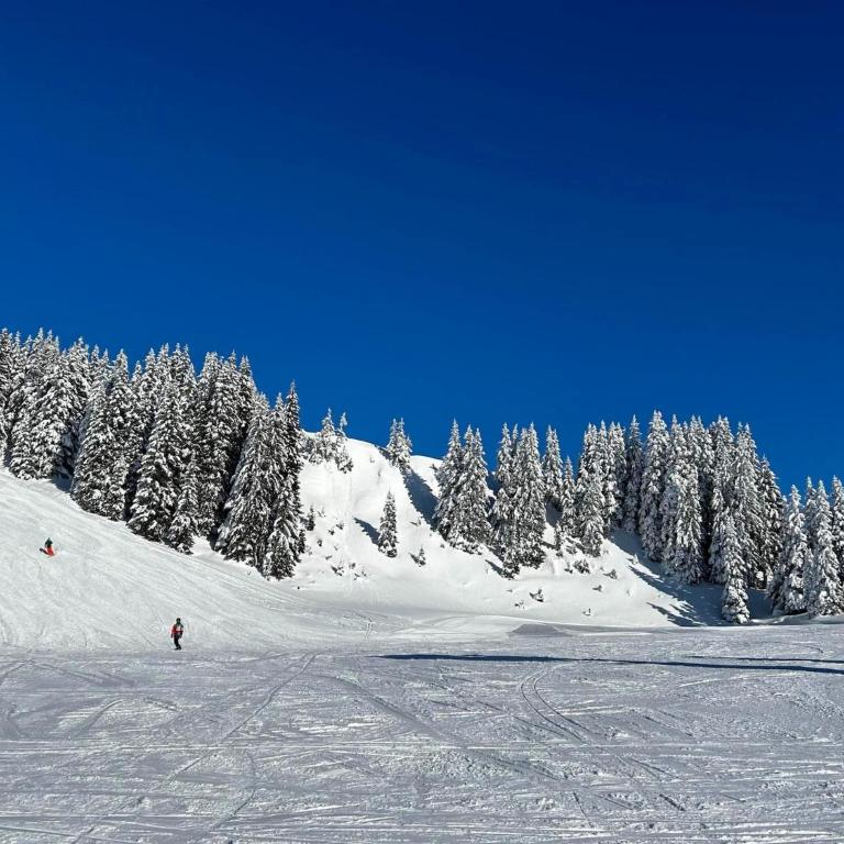 Alpine Apartment Near Ski Lift - Apartamento de 2 dormitorios - 29