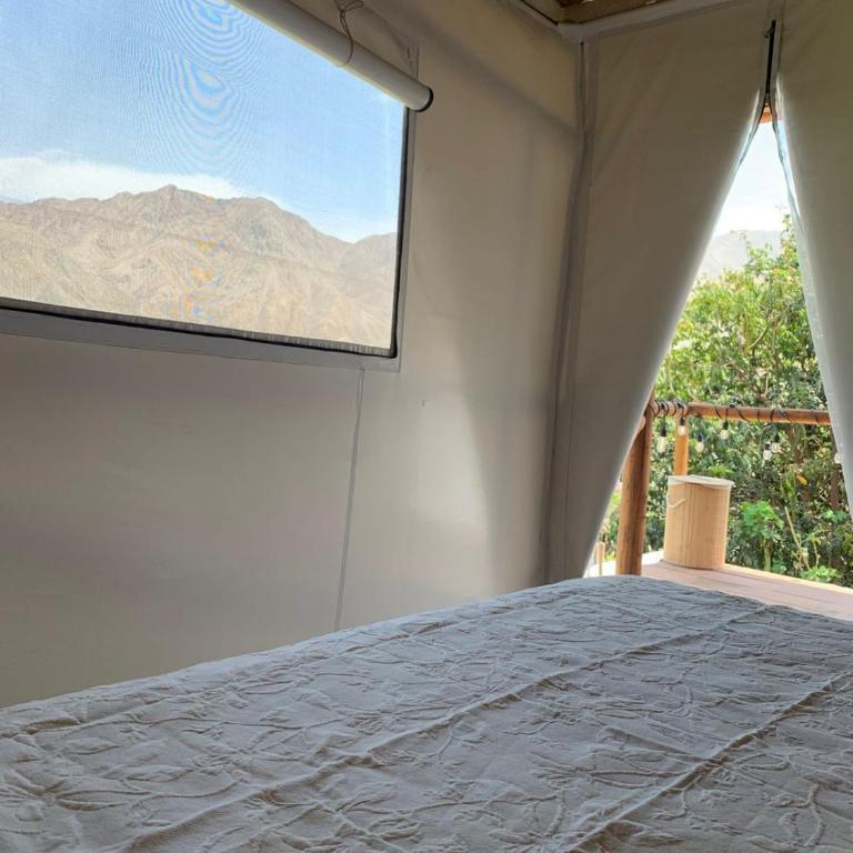 Casa glamping Bambucamp - Casa de 5 dormitorios - 6