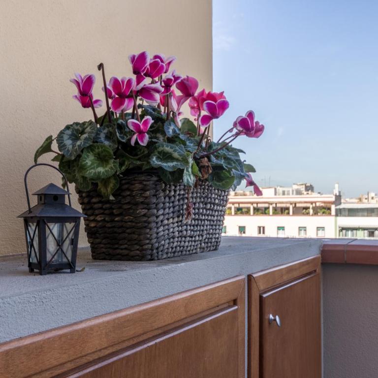 Elafi Penthouse - Appartamento Attico - 39