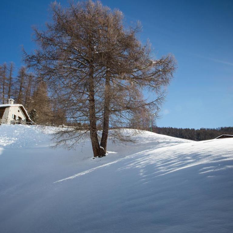 Chalet Charm by Original Galli - Chalet - 60