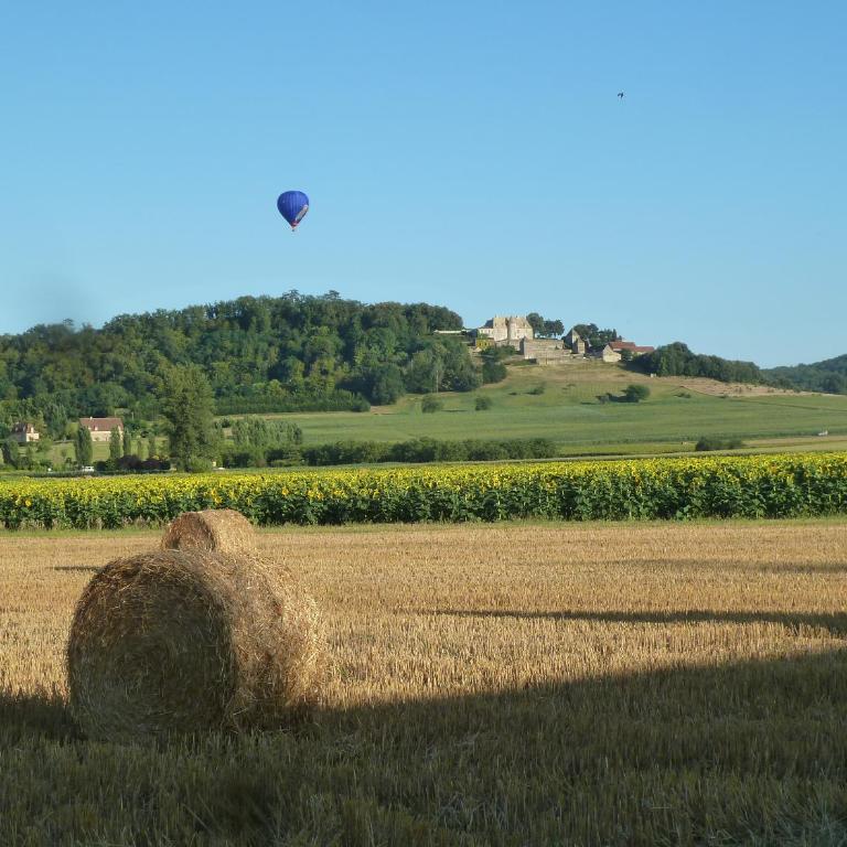 Appartement centre médiéval - Le Cosy de Sarlat - Apartamento de 2 dormitorios - 17