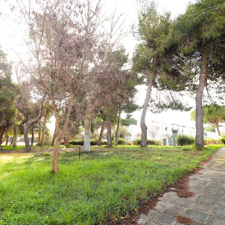 Adele's House in Torre Dell'Orso - Casa con 2 Camere da Letto - 9
