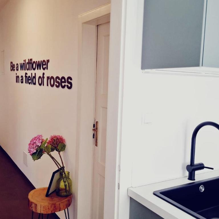 Apartment wildflower in Privatvilla im Herzen Merans - Appartamento con 1 Camera da Letto - 26
