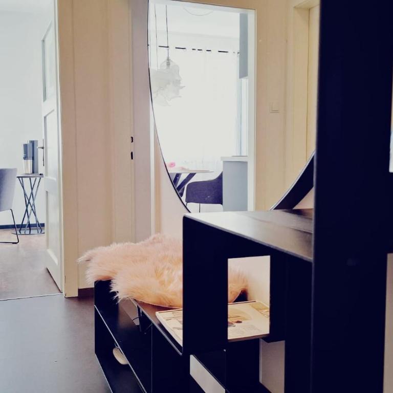 Apartment wildflower in Privatvilla im Herzen Merans - Appartamento con 1 Camera da Letto - 24