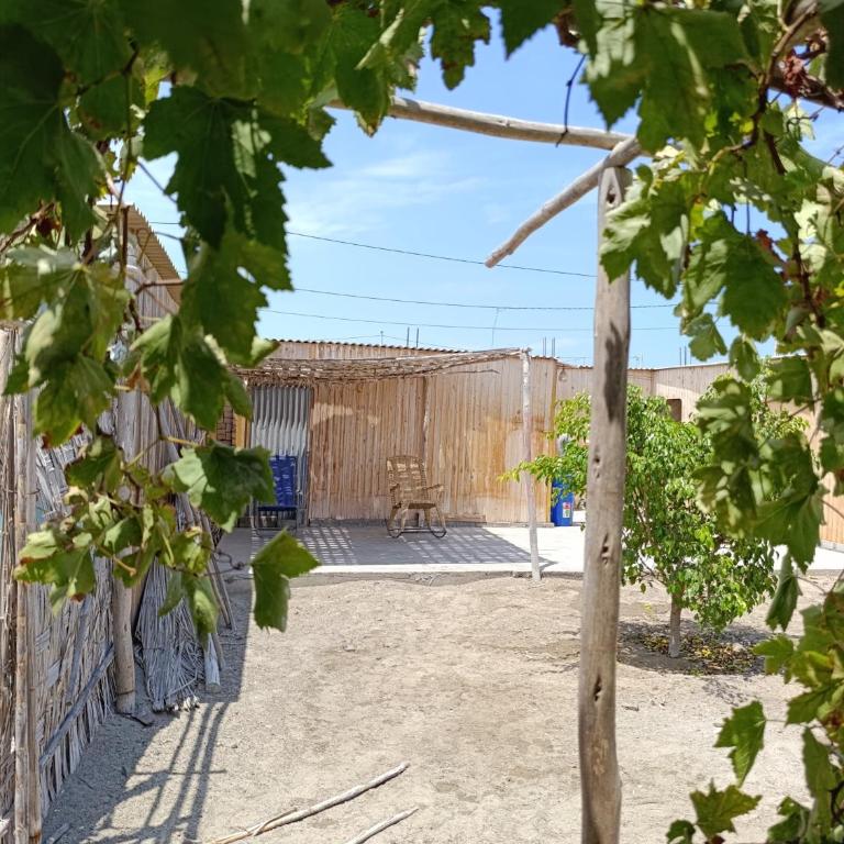 El hospedaje de Liz - Huarmey - Casa con 1 dormitorio - 3