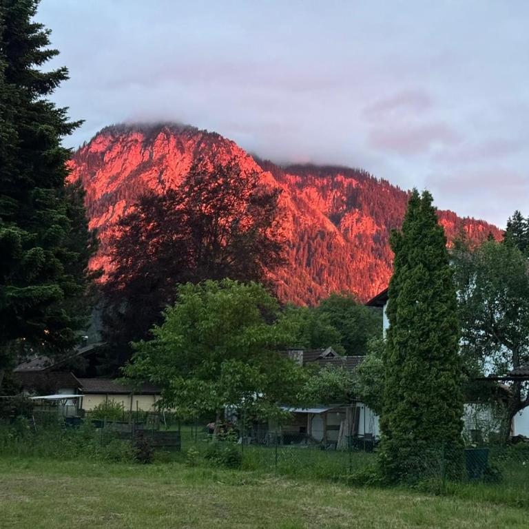 Ferienwohnung Forggensee , Schwangau-Alterschrofen im Allgäu, mit Königscard - Apartamento - 13