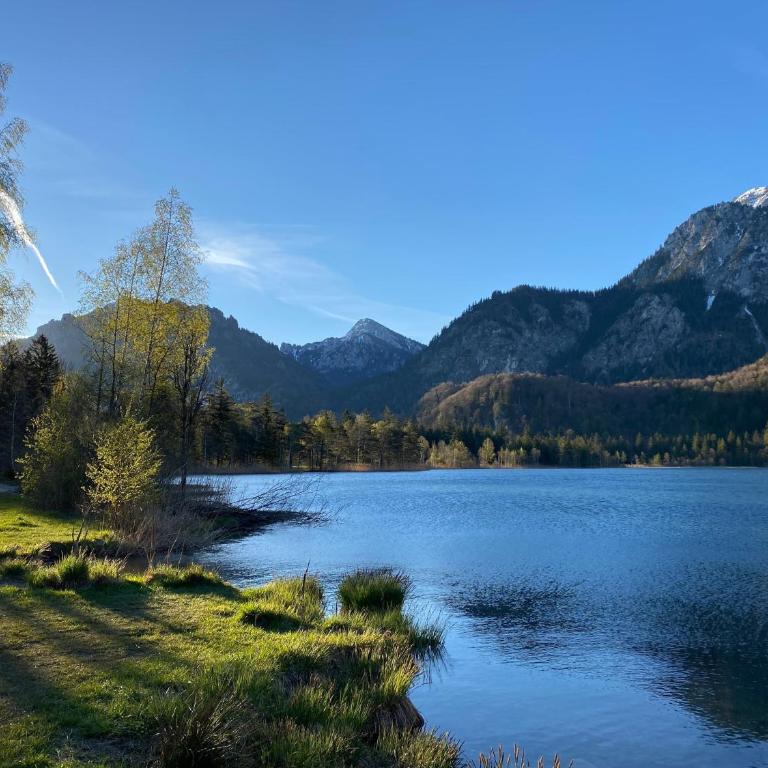 Ferienwohnung Forggensee , Schwangau-Alterschrofen im Allgäu, mit Königscard - Apartamento - 18