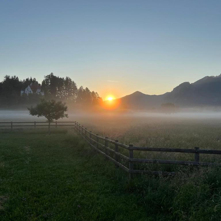 Ferienwohnung Schwansee , Schwangau-Alterschrofen im Allgäu, mit Königscard - Apartamento - 14