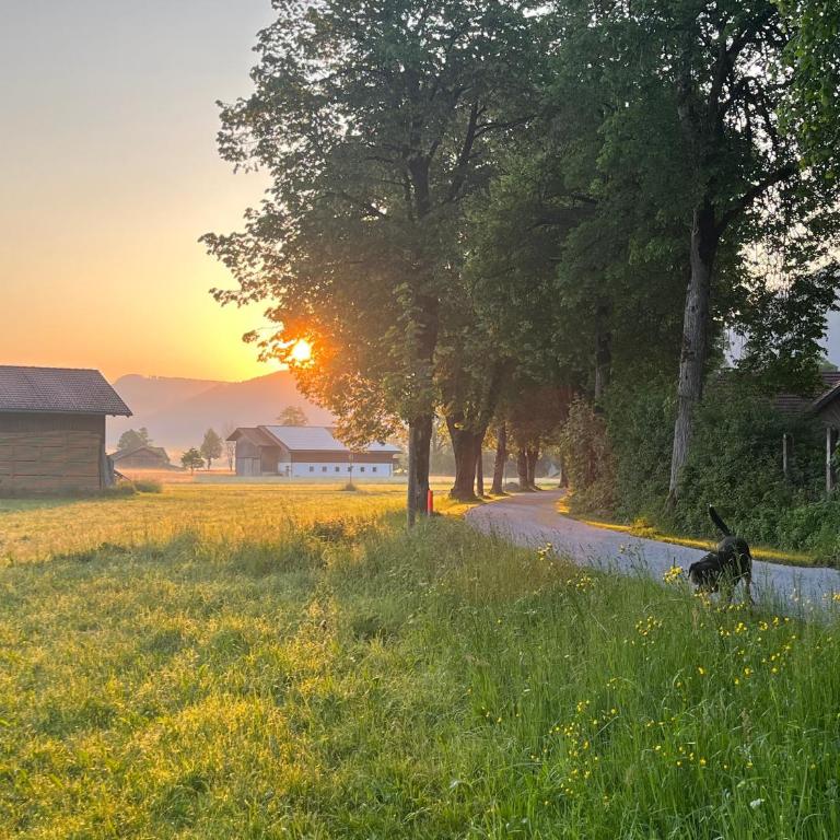 Ferienwohnung Schwansee , Schwangau-Alterschrofen im Allgäu, mit Königscard - Apartamento - 16