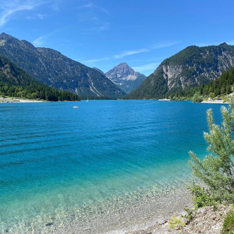 Ferienwohnung Schwansee , Schwangau-Alterschrofen im Allgäu, mit Königscard - Apartamento - 17
