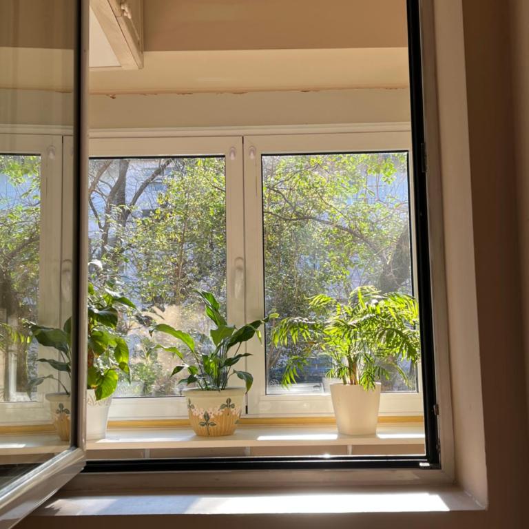 City Green Oasis - Apartman sa 1 Spavaćom Sobom - 11
