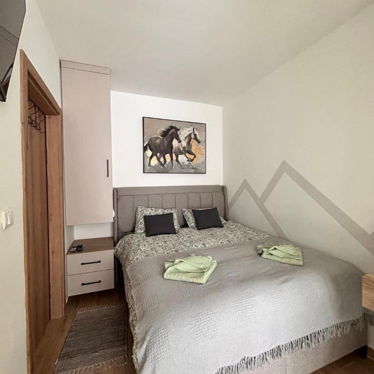 Valena 1 Divčibare - Apartman sa 1 Spavaćom Sobom - 31