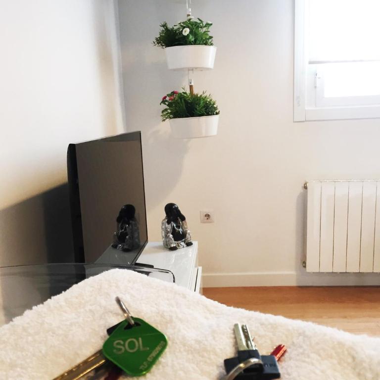 Apartamento Atico en Puerta del Sol - Duplex Apartment - 8