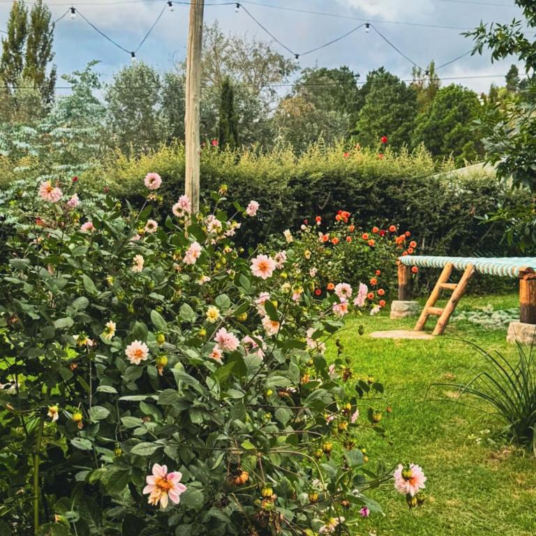 Cabañas de Montaña - Chalet de 3 dormitorios - 5