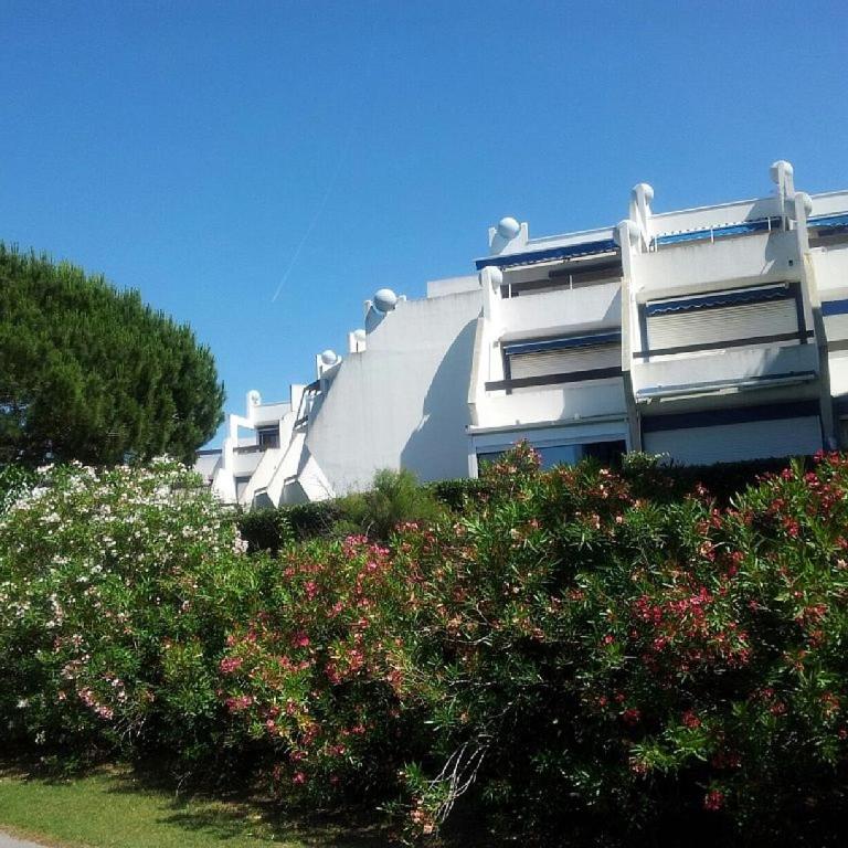 Le Birdy, terrasse, wifi, clim - Appartamento con Terrazza - 28