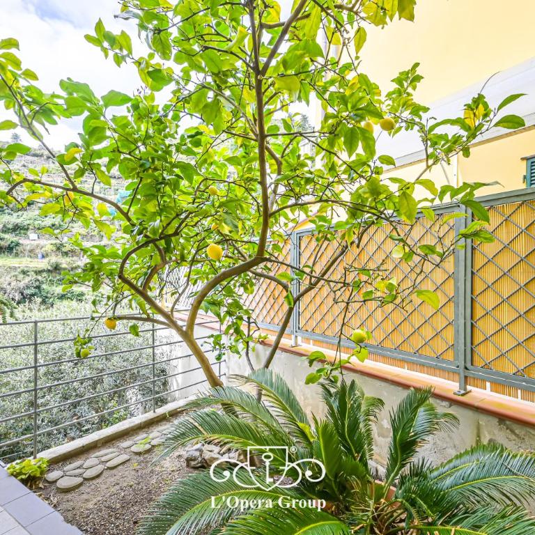 Méa Mare Apartment - L'Opera Group - Casa de 2 dormitorios - 25