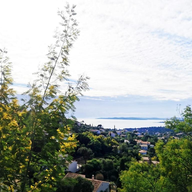 Studio cosy - Vue mer - Grande Piscine - Au calme - Appartamento con 1 Camera da Letto - 27