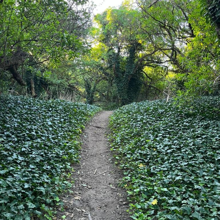 DEPARTAMENTO PLAYA MIRAMAR - Apartamento con vistas al mar - 6