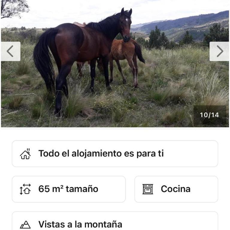 La Rosadita del Paraje - Chalet de 1 dormitorio - 8