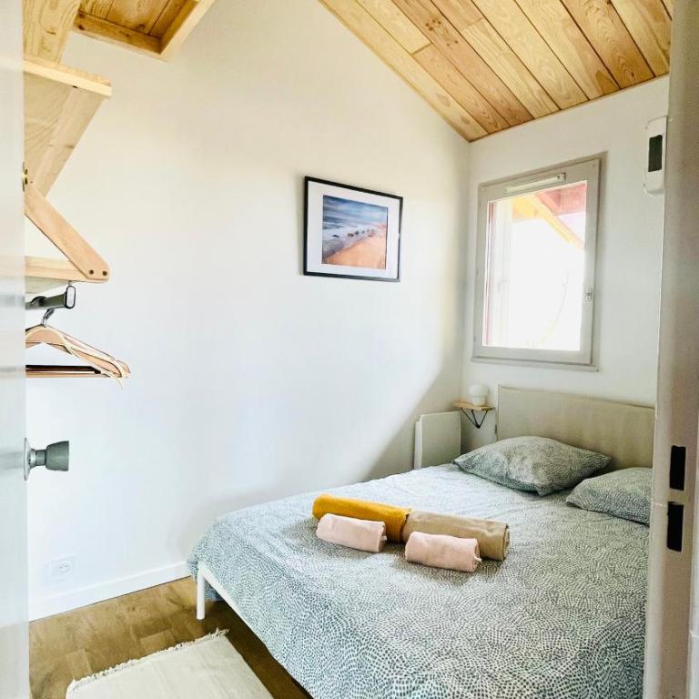 Vacances en famille, plage à pied et face à la dune ! - Two-Bedroom Apartment - 18