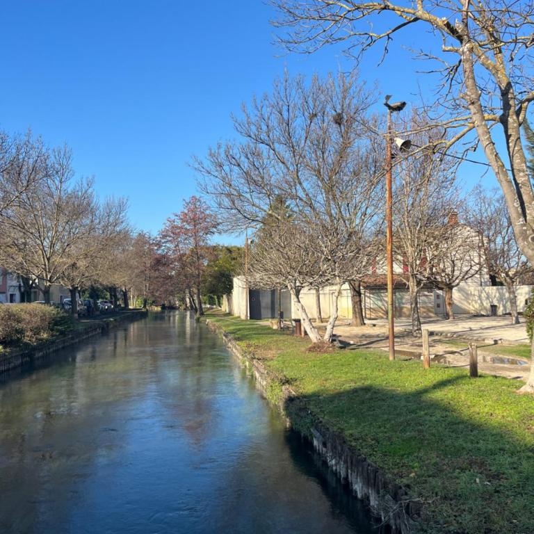 Quai du Félibre - Appartamento con 2 Camere da Letto - 19